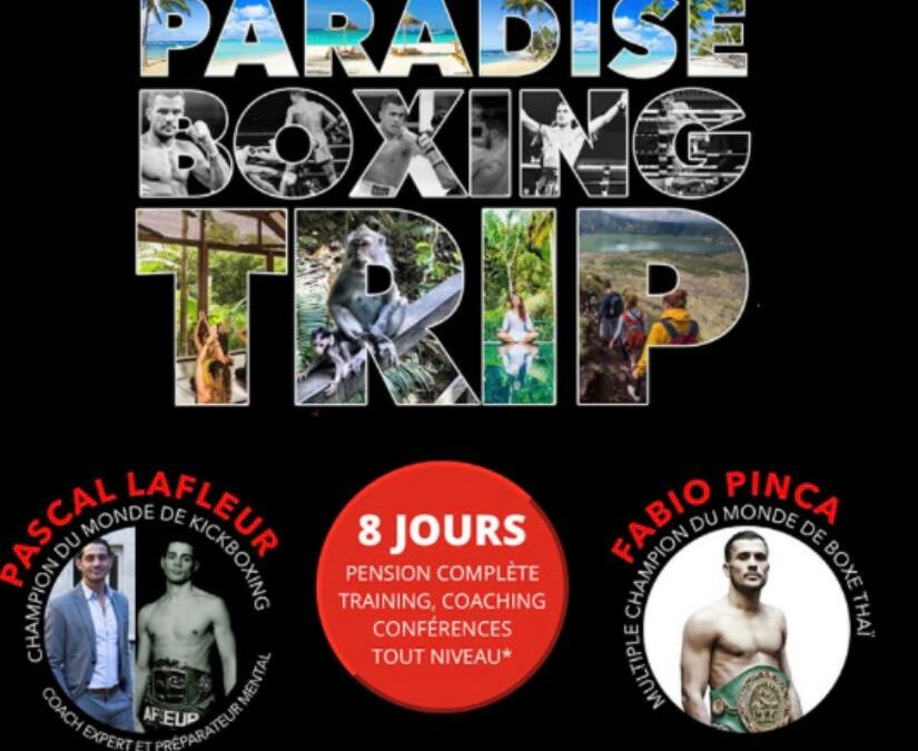 Stage intensif – Paradise Boxing Trip