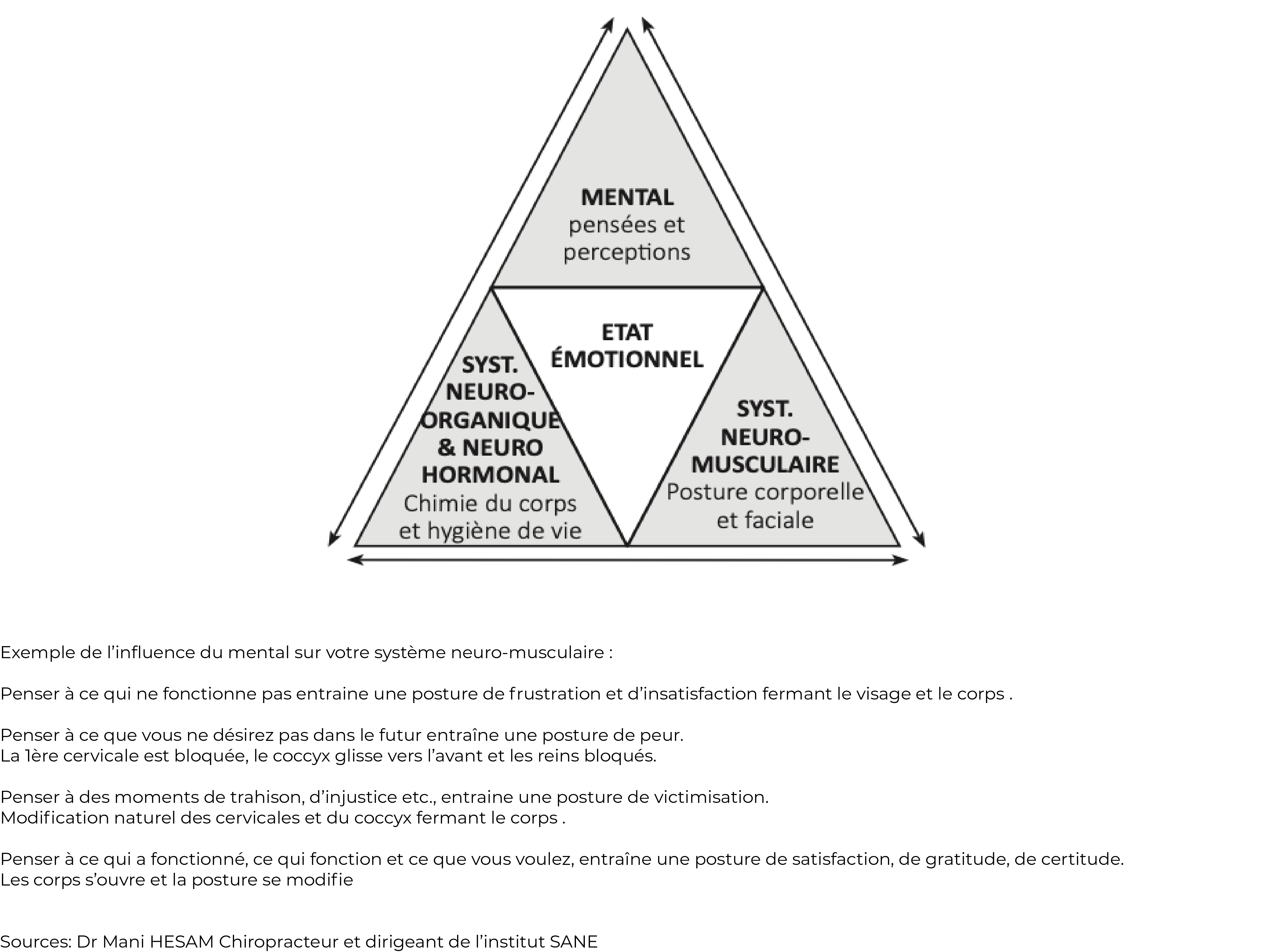 Triangle neurobiochimique interne